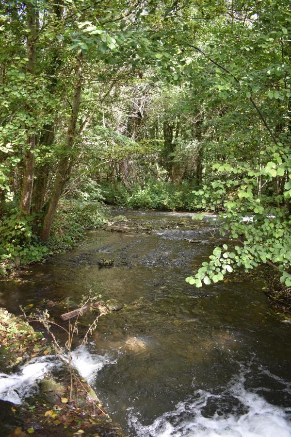 Le Moulin,19 Bis Rue De Beaudon, 45330 Augerville La Riviere Trezan Exteriér fotografie